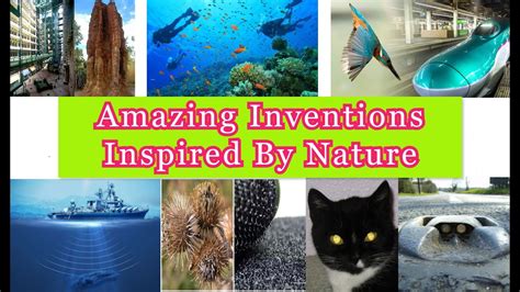 inventions that are inspired by nature in rainforests